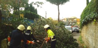 Maltempo, il Comune di Lanuvio ha attivato la richiesta di calamità naturale per le aziende agricole colpite ad Aprile da forti gelate protezione_civile_lanuvio