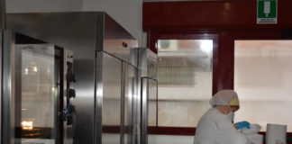 Lanuvio, al via lunedì 27 settembre il servizio di refezione scolastica nelle scuole comunali