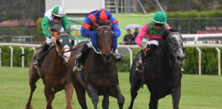 Primo maggio al galoppo a Capannelle premio_d_alessio_photo_domenico_savi