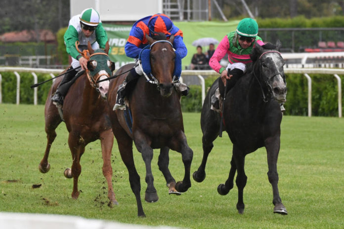 premio_d_alessio_photo_domenico_savi