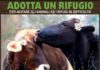 AnimaLiberAction lancia Adotta un rifugio 2021 Foto originale di Ilaria Pasquali, stilizzata da ReversLab