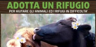 AnimaLiberAction lancia Adotta un rifugio 2021 Foto originale di Ilaria Pasquali, stilizzata da ReversLab