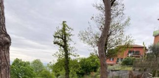 Continuano potature e tagli dell’erba a Monte Compatri