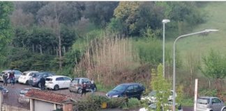 Albero caduto a Zagarolo, liberata SP12B albero_caduto_zagarolo