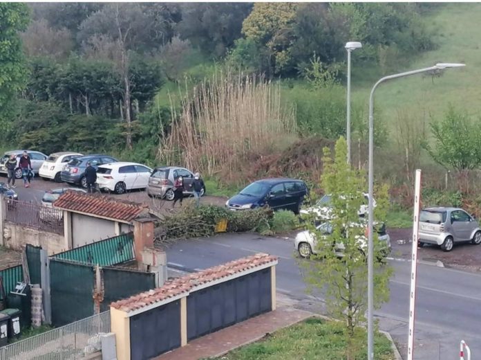 albero_caduto_zagarolo