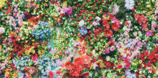 Genzano vuole immaginare l’Infiorata 2021 in presenza infiorata