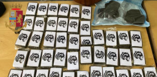 Sequestrati 2 kg circa di Marijuana e 6 kg di Hashish dalla Mobile di Roma, un arresto anche a Marino droga