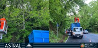 Strada regionale di Rocca di Papa, in corso lavori Astral di potatura