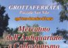 16 maggio, torna il Mercatino dell’Antiquariato e del Collezionismo a Grottaferrata locandina