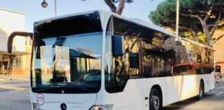 TPL, attivata linea che collega Grottaferrata col Liceo James Joyce tpl_grotta_joyce