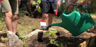 30 maggio, adotta una pianta a Parco Rielasingen