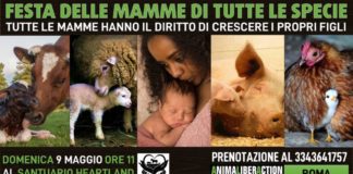 La Festa della Mamma di #AnimaLiberAction locandina