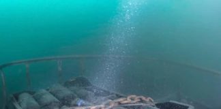 Nemi, Caligola protagonista tra maggio e giugno 2021