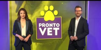 Nuovo progetto green sui muri di Roma pronto_vet