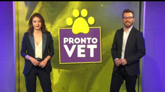 pronto_vet