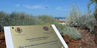 Inner Wheel dona oltre 100 piante alla Città di Pomezia