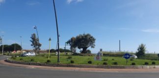 Pomezia, l’azienda Crik Crok adotta uno spazio verde