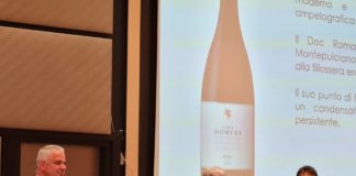 Marino – Vinea Domini: tradizione, futuro e gusto di…vino. Così Gotto d’Oro punta sulla qualità bibenda