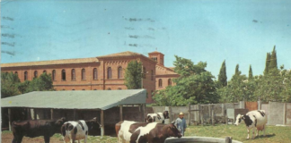 Videoconferenza sui Parchi dell’Appia Antica e dei Castelli Romani mercoledì 19 maggio tenuta