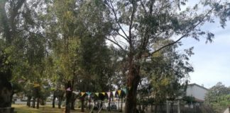 Ardea, Possidoni “Riaperto Parco Rielasingen” riapertura_parco_rielasigen