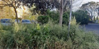 Tor De Cenci, Rocca – Zamparelli (FdI) “aree verdi Tor de Cenci abbandonate dall’Amministrazione”