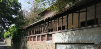 Pd, Fare Rete, Italia Viva, Gruppo consiliare misto, Articolo 1-Leu, Grottaferrata Sostenibile, Europa Verde Grottaferrata su ex Bazzica “Condanniamo Aministrazione”