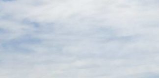 Lanuvio, intervento della Protezione Civile per un incendio a Via delle Selve