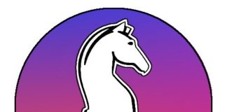 A.S.D. Scacchi in Tour ritorna anche a Pavona