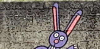 Cocciano, inaugurazione Murales Nature Concrete – Il Circo sabato 26 giugno