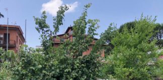 Mancata manutenzione sulla Salaria, Assotutela “Si intervenga”