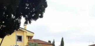 Pavona regina degli scacchi scacchintour