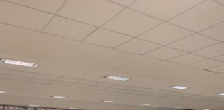 Eirene, progetto europeo contro il bullismo