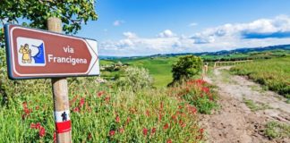 Marcia dall’Europa a Roma. Al via la staffetta europea “Via Francigena. Road to Rome 2021. Start again”