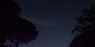 Giovedì 22 luglio alle 21 al Parco Sforza Cesarini di Genzano il Panlink Saxophone Quartet