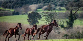 Torna Lazio In Tour, l’Interrail della Regione Lazio, fino al 15 Settembre