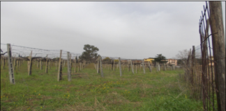 Comunisti Castelli “Albano: fermare il consumo del suolo”