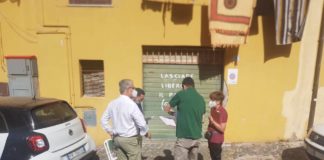 Lanuvio, al via a Ottobre gli interventi di piantumazione di 500 nuovi alberi