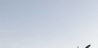 Filippo La Rosa e Giorgia Pasqualini alla guida dell’Osservatorio Strategie Politiche di Frascati filippo_la_rosa