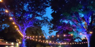 Ariccia, gli eventi del Parco Romano Biodistretto