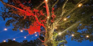 Parco Romano Biodistretto, gli eventi fino al 31 luglio