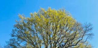 Parco Romano Biodistretto una domenica dedicata all’armonia e al benessere