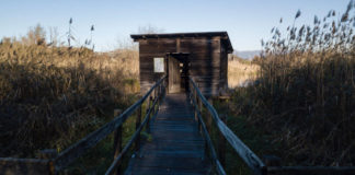 GenerAzioni Giovani “Nasce Spazio Tevere Point”