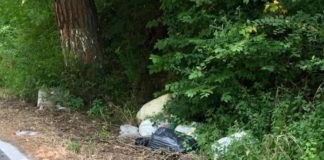 Italia Nostra Castelli “Segnaliamo degrado Viale Antonio Costa a Castel Gandolfo”