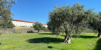 Ciampino, Associazioni incontrano l’Amministrazione su Pnr piscina_comunale_ciampino