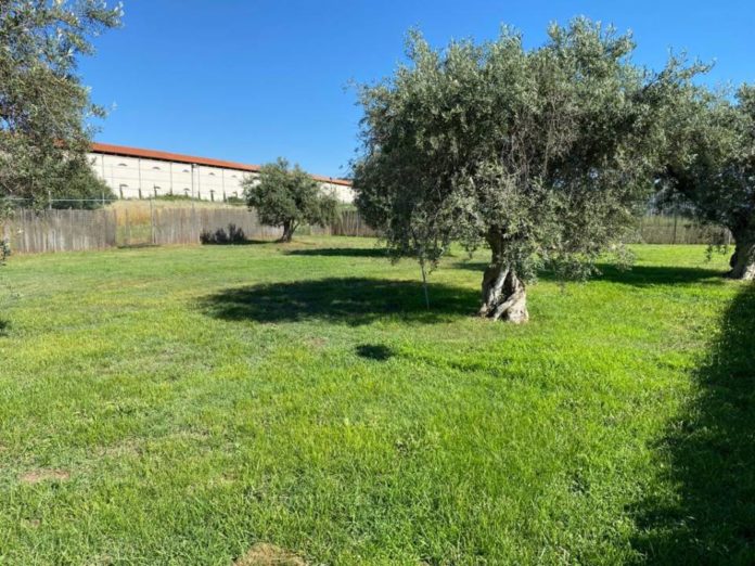 piscina_comunale_ciampino