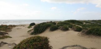 Ambiente, richieste due nuove aree protette nel territorio di Pomezia per uno sviluppo integrato e sostenibile