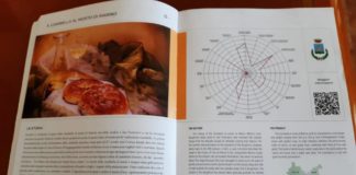 La Ciambella al mosto di Marino nel repertorio DE.CO. di Anci Lazio