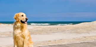 Baubeach e spiaggia per naturisti nell’estate della Perla