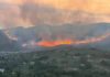 Tivoli Monte Catillo e l’incendio che ha violato il territorio dei Monti Tiburtini