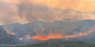 Tivoli Monte Catillo e l’incendio che ha violato il territorio dei Monti Tiburtini